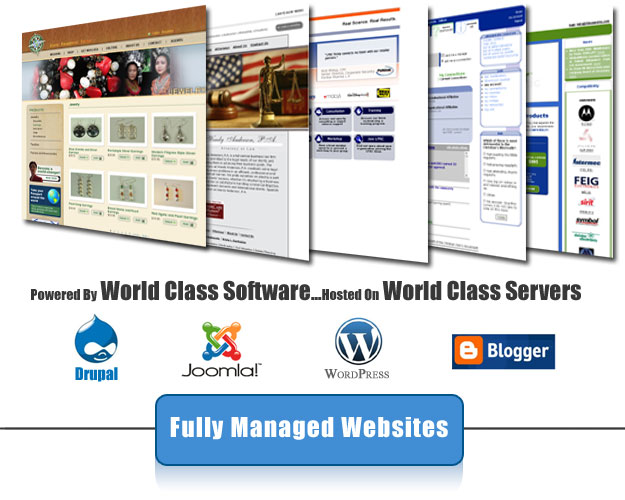 We build websites that sell and are fully managed